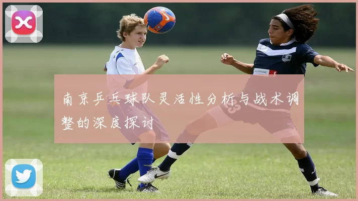 南京乒乓球队灵活性分析与战术调整的深度探讨
